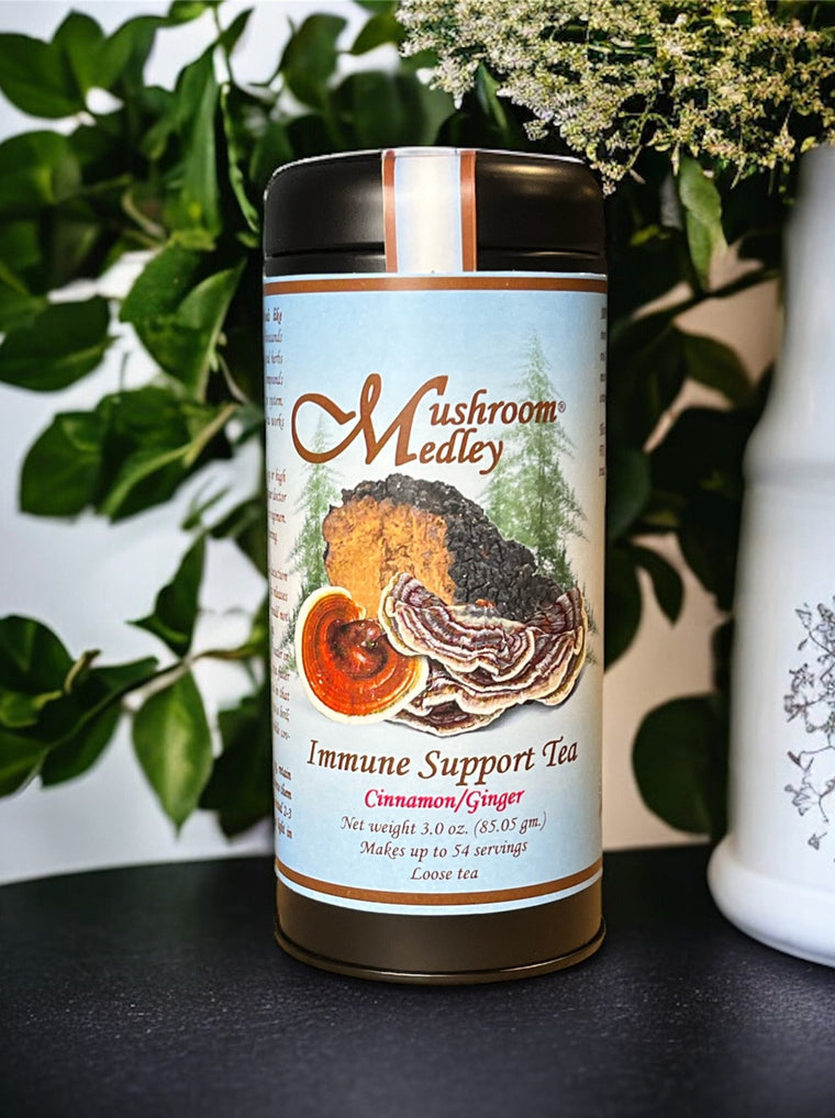 Immune Support Tea-Mushroom Medley-Cinnamon/Ginger